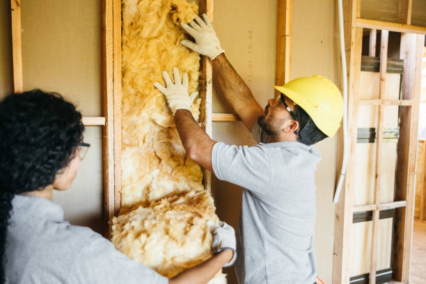Best Insulation Inspection Services  in East Washington, PA