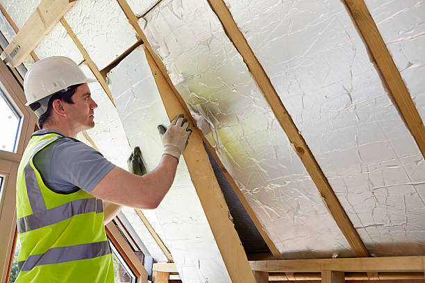 Best Insulation Removal  in East Washington, PA