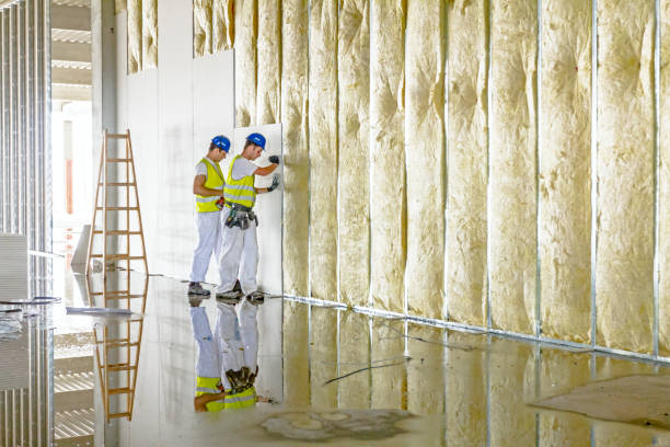 Best Insulation Inspection Services  in East Washington, PA